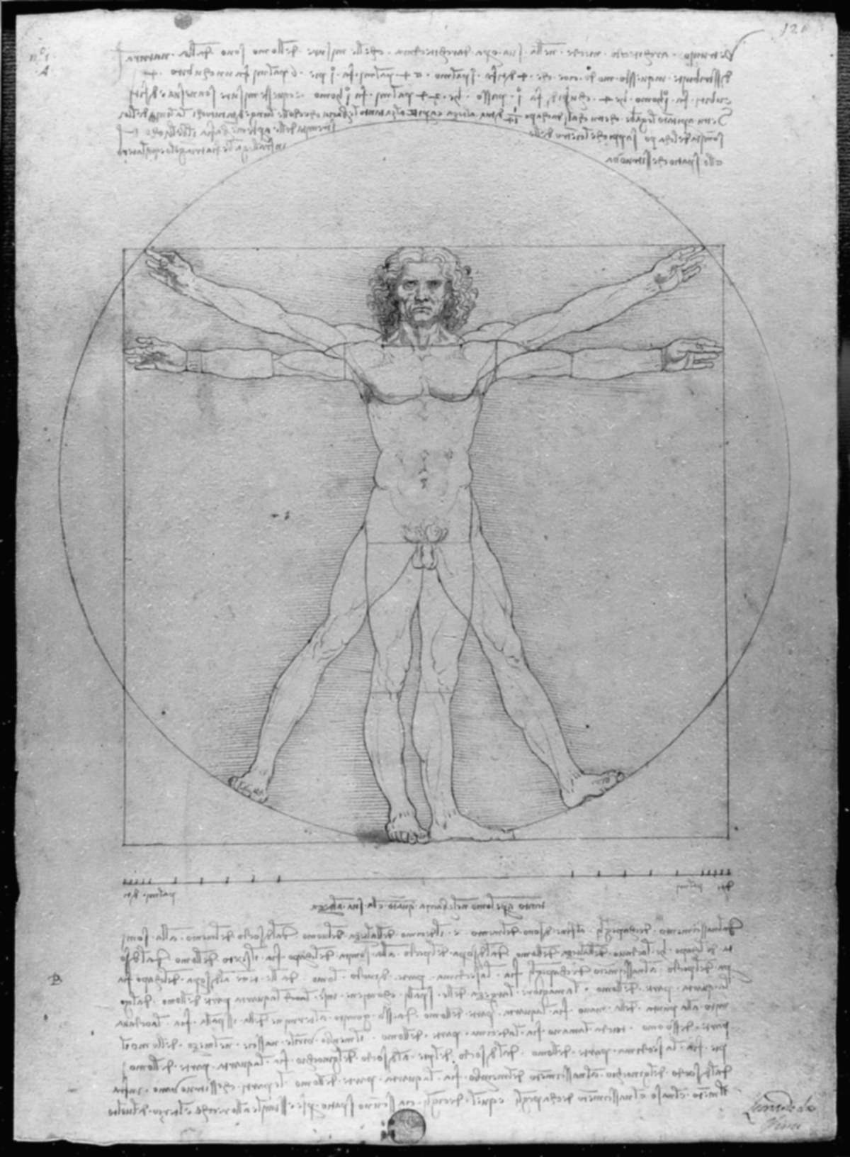 Leonardo da Vinci, Vitruvian Man — a male figure inscribed in a circle and a square, surrounded by mirror-written notes