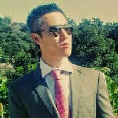 Profile of the ANPC.AI site owner